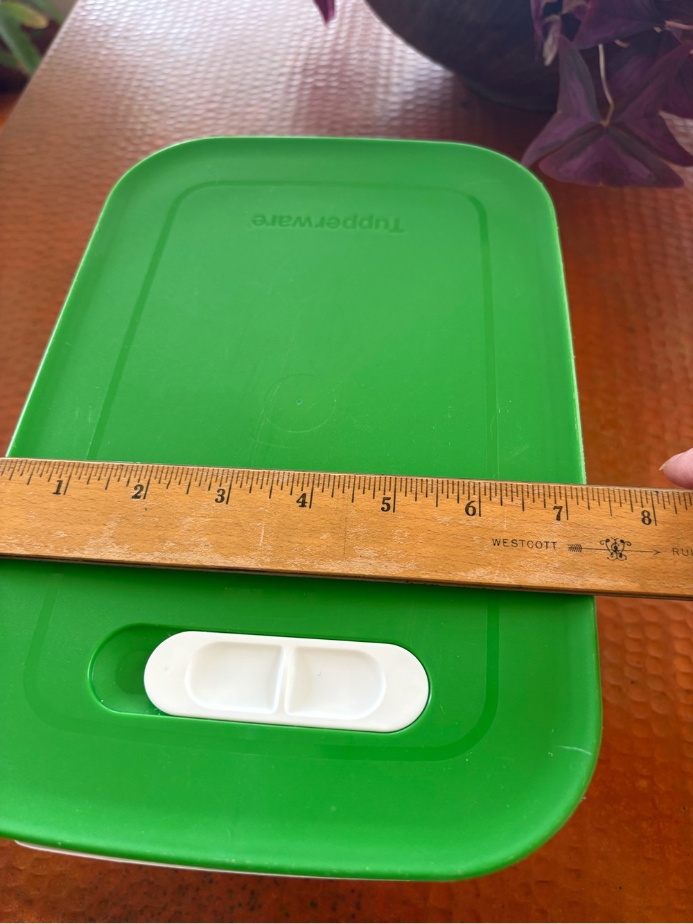 Tupperware Produce Storage Smart FridgeSmart Green Lid Food Storage Container - Picture 5 of 11